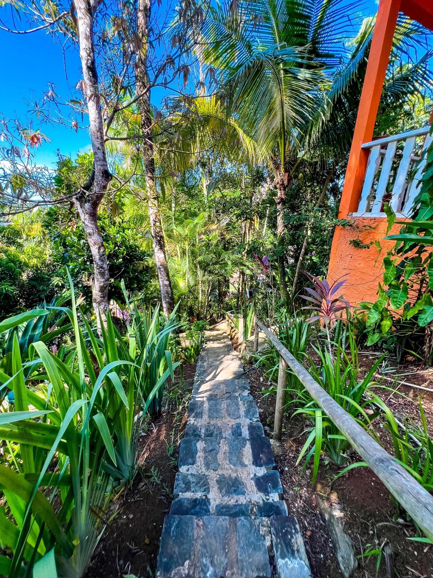 Hostel Zen - Casa Na Floresta Itacaré Exterior foto